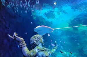 Aquaria Phuket